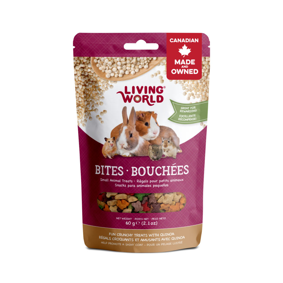 Rabbit Treat/Food Image
